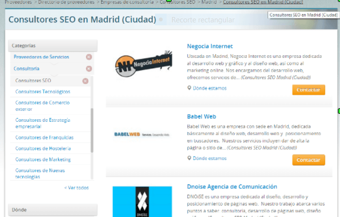 consultores seo madrid