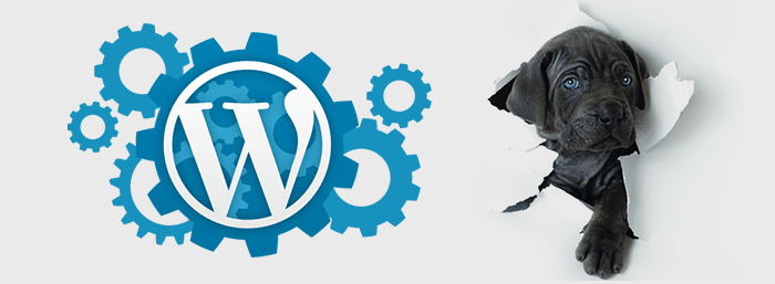 wordpress amigo emprendedor